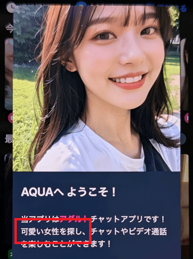 AQUAの使い方